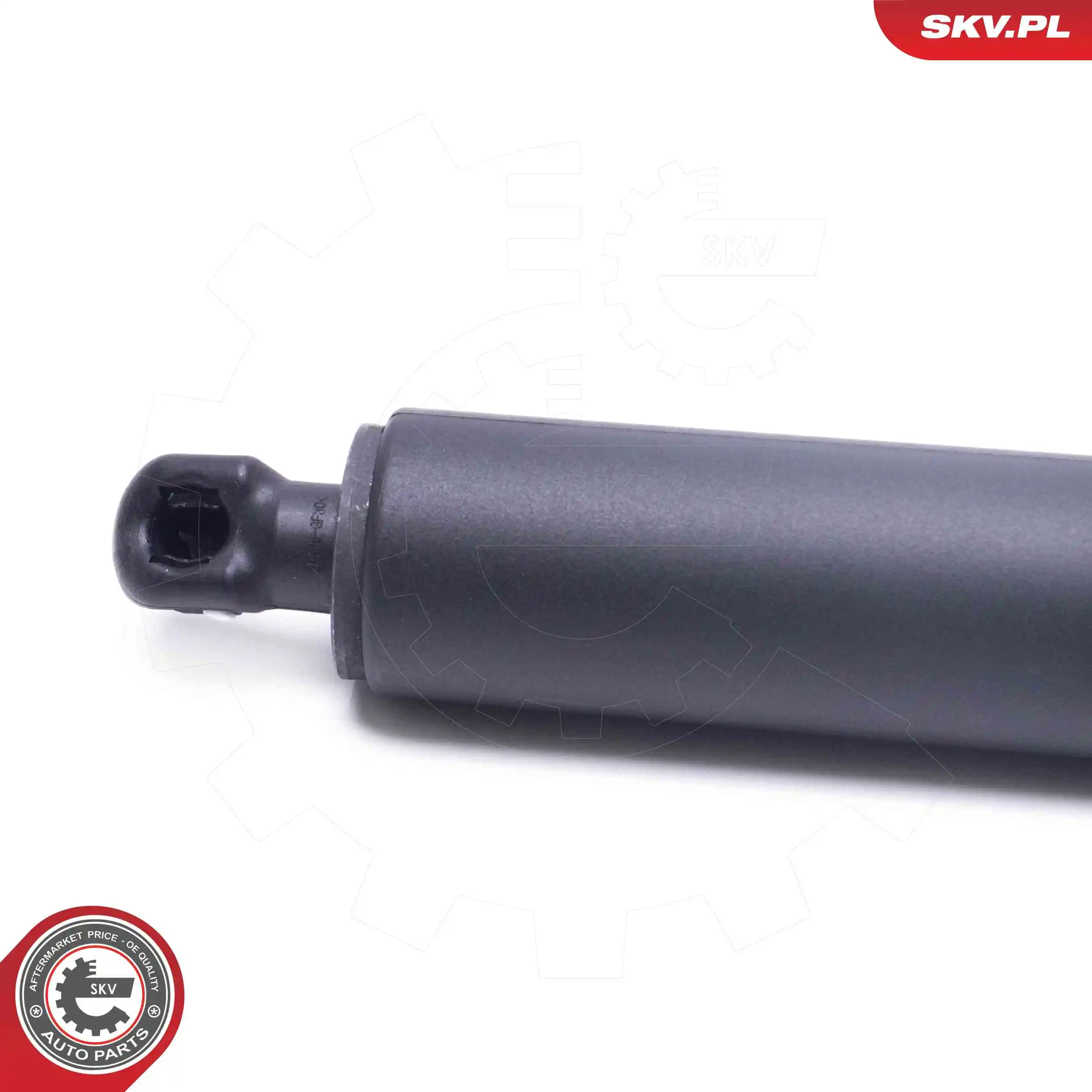 Electric Motor, tailgate 52SKV962