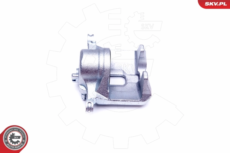 Brake Caliper 42SKV691