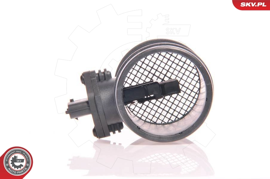 Mass Air Flow Sensor 07SKV073
