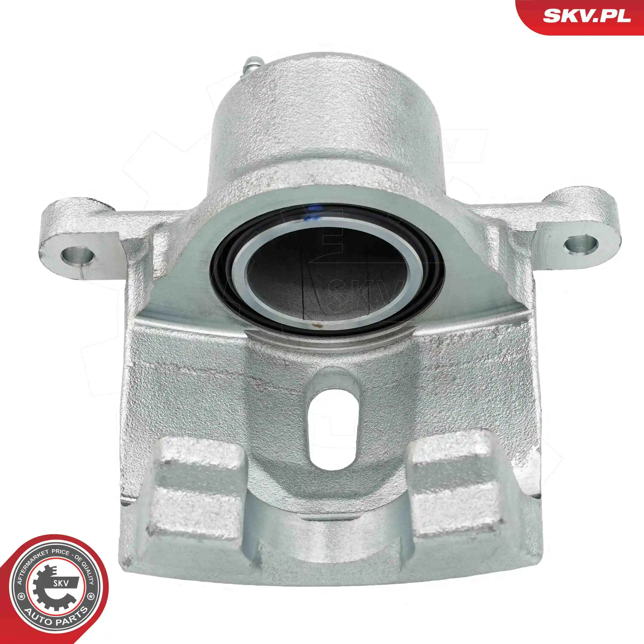 Brake Caliper 74SKV971