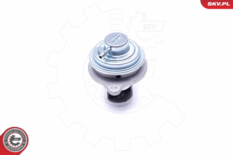 EGR Valve 14SKV182