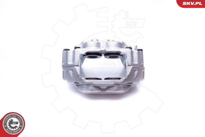 Brake Caliper 42SKV172