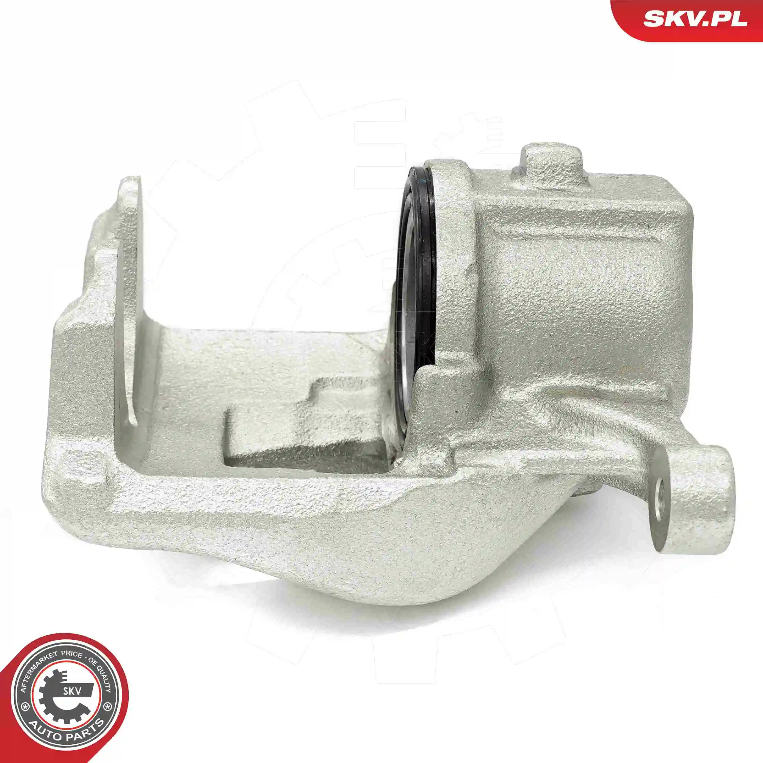 ESEN SKV 56SKV841 Brake Caliper