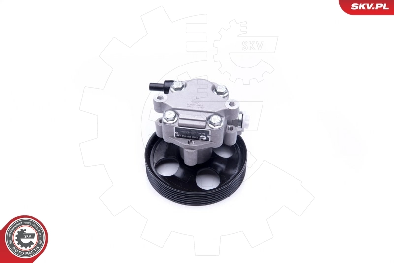 Hydraulic Pump, steering 10SKV254