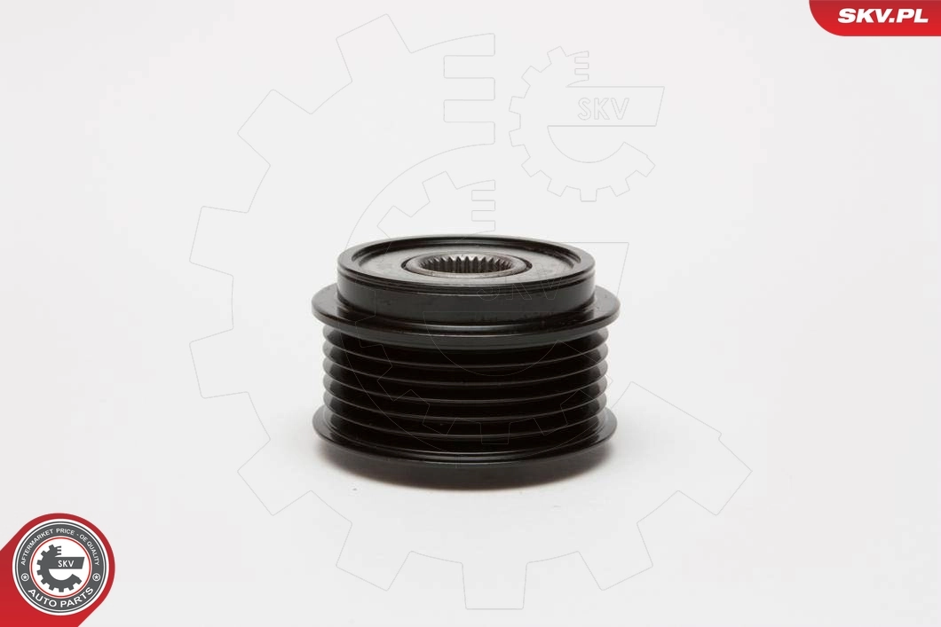 Alternator Freewheel Clutch 11SKV033