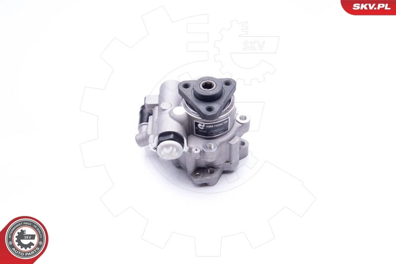 Hydraulic Pump, steering 10SKV196