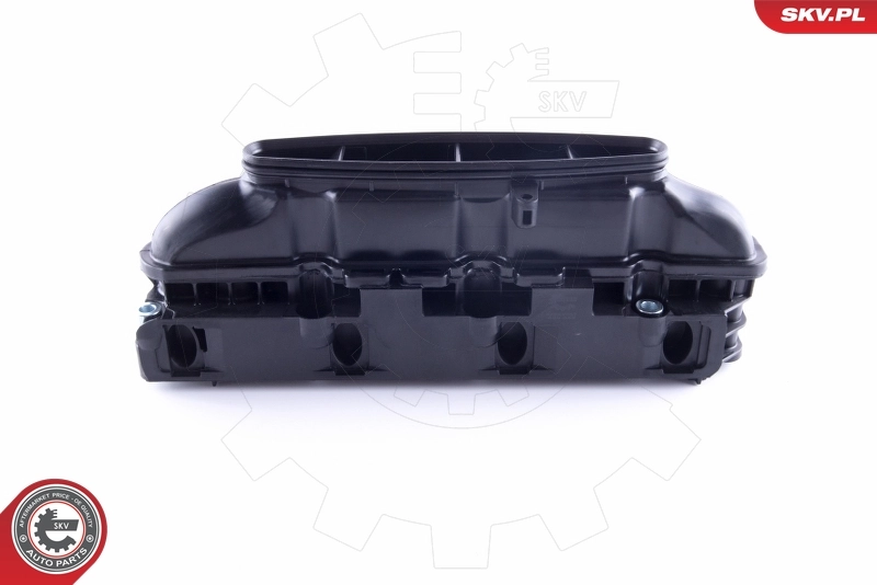 Intake Manifold Module 49SKV057