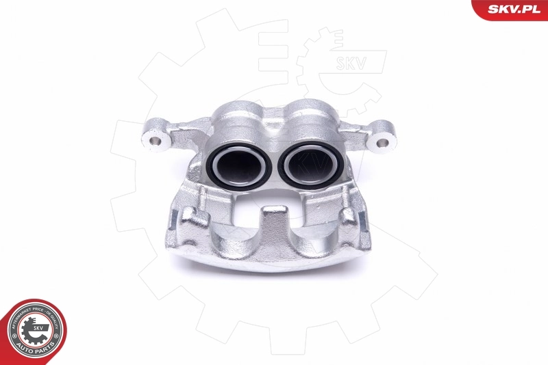 Brake Caliper 50SKV011
