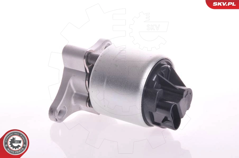 EGR Valve 14SKV002
