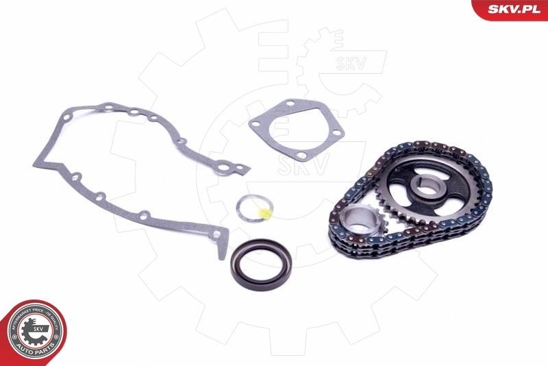 Timing Chain Kit 21SKV218