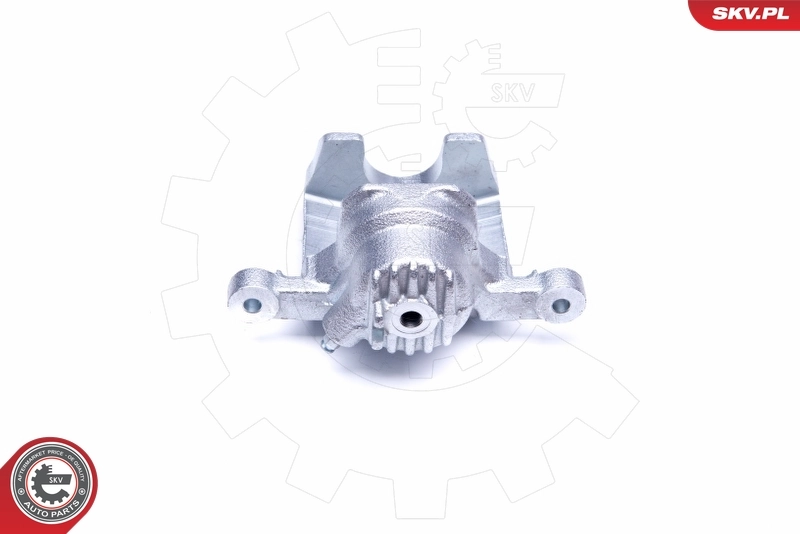 Brake Caliper 42SKV954