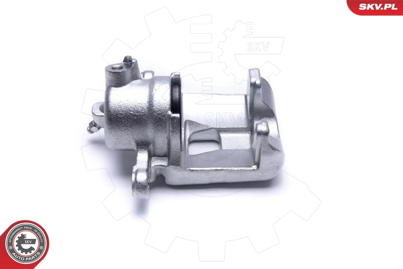 Brake Caliper 55SKV364