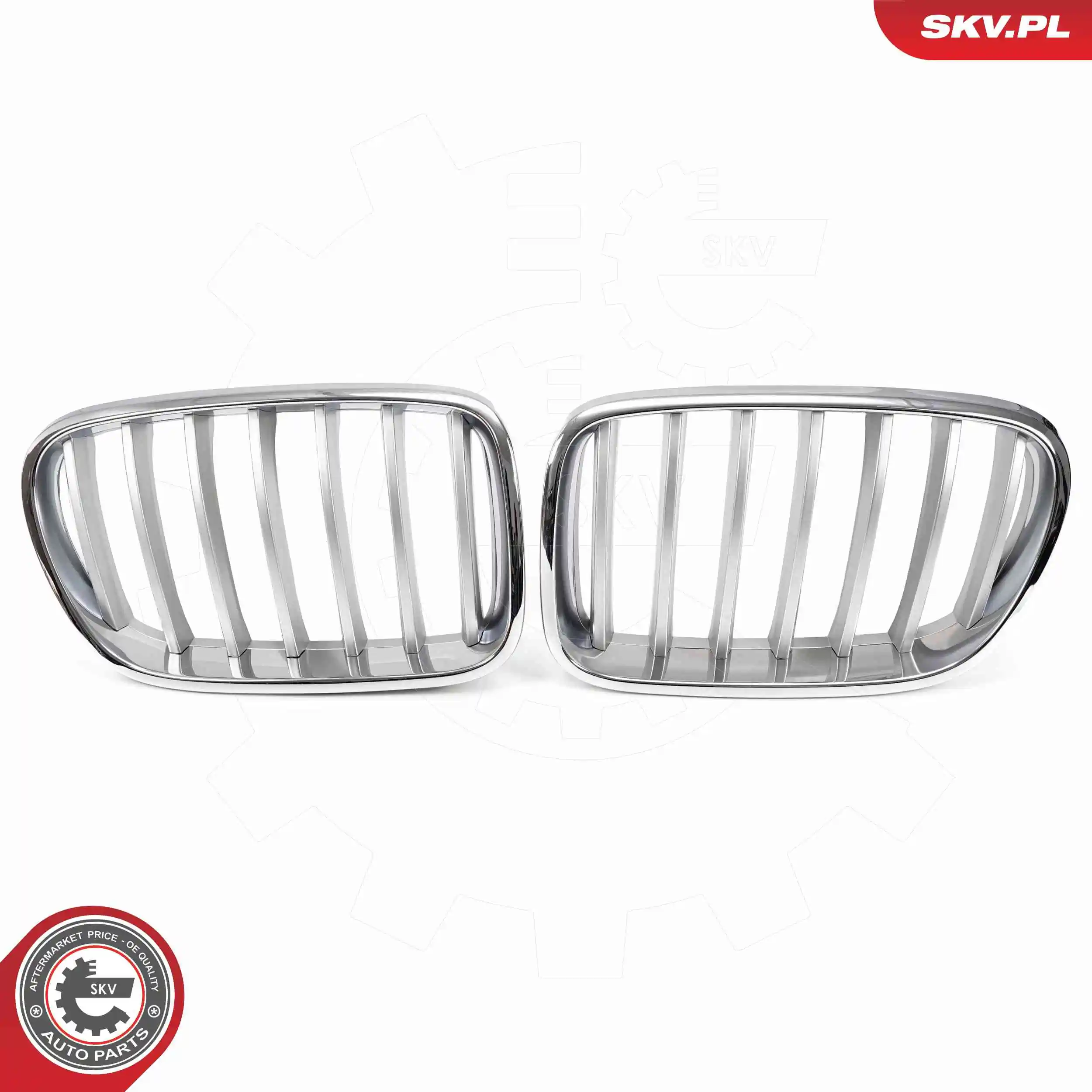 ESEN SKV 66SKV251 Radiator Grille
