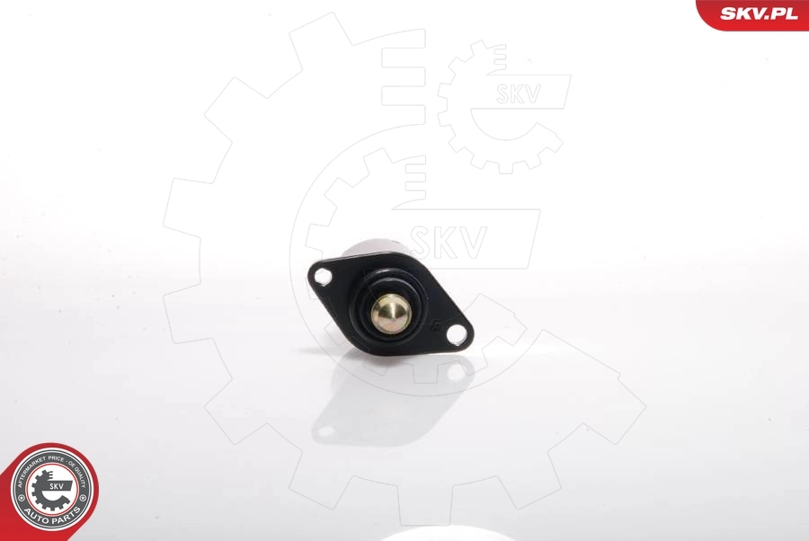 Idle Control Valve, air supply 08SKV001