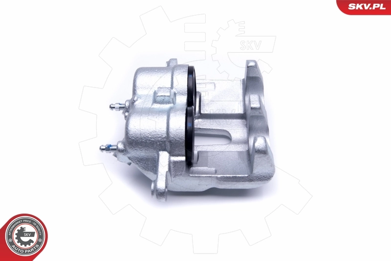 Brake Caliper 50SKV251