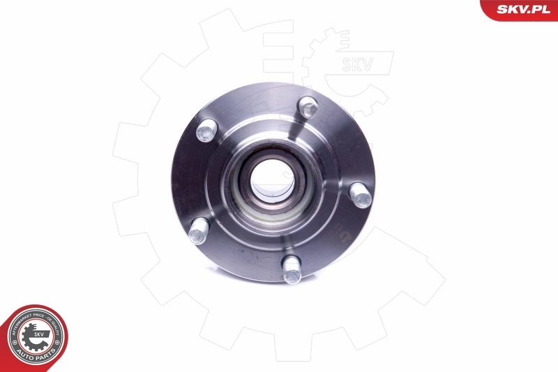 Wheel Bearing Kit 29SKV193