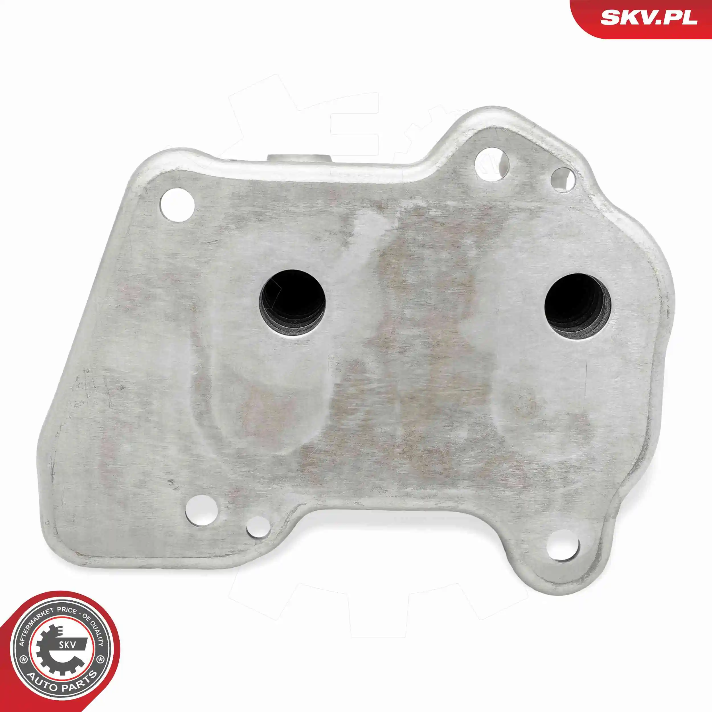 Oil Cooler, engine oil 31SKV346