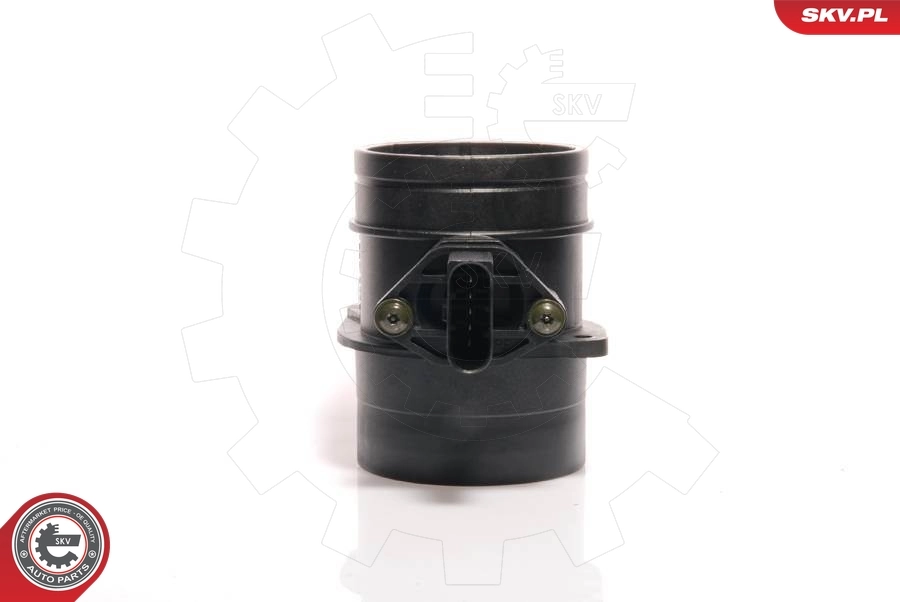 Mass Air Flow Sensor 07SKV029