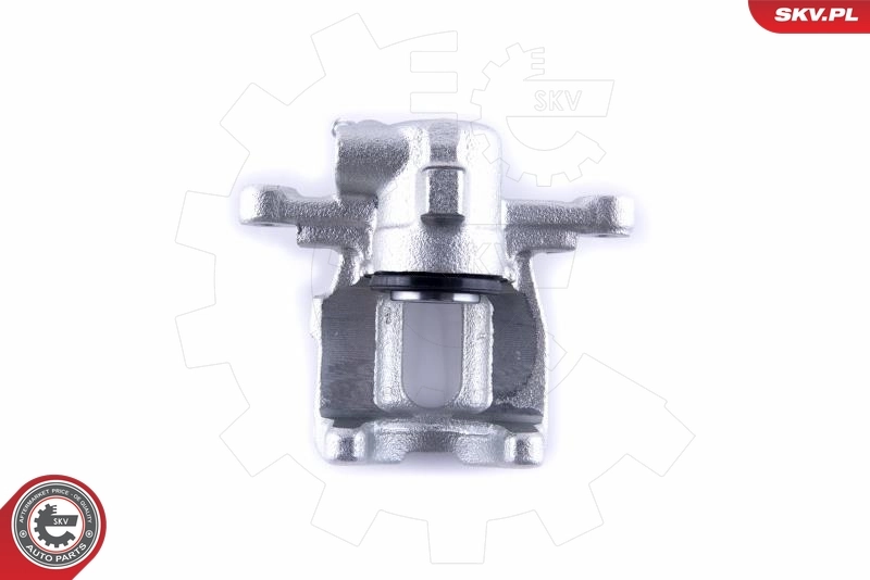 Brake Caliper 55SKV234