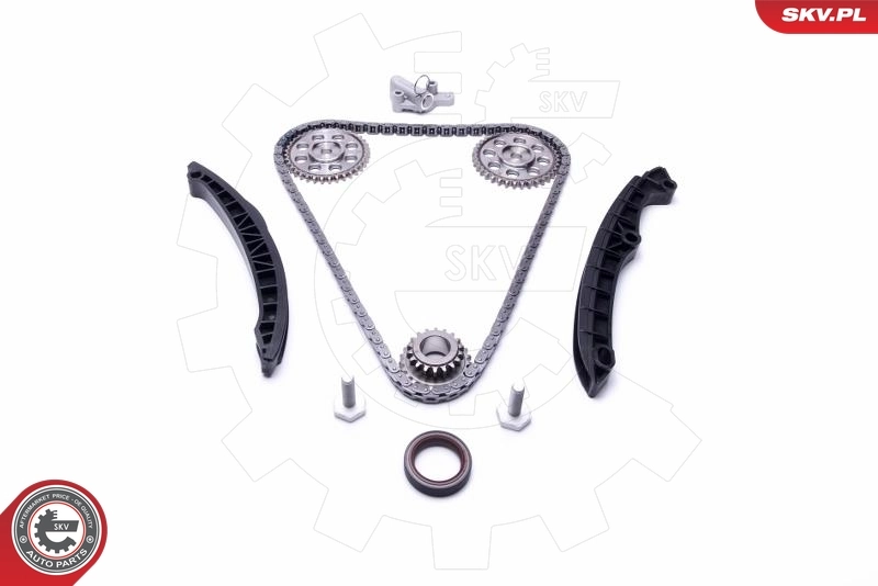 مجموعة سلسلة التحكم 21SKV233