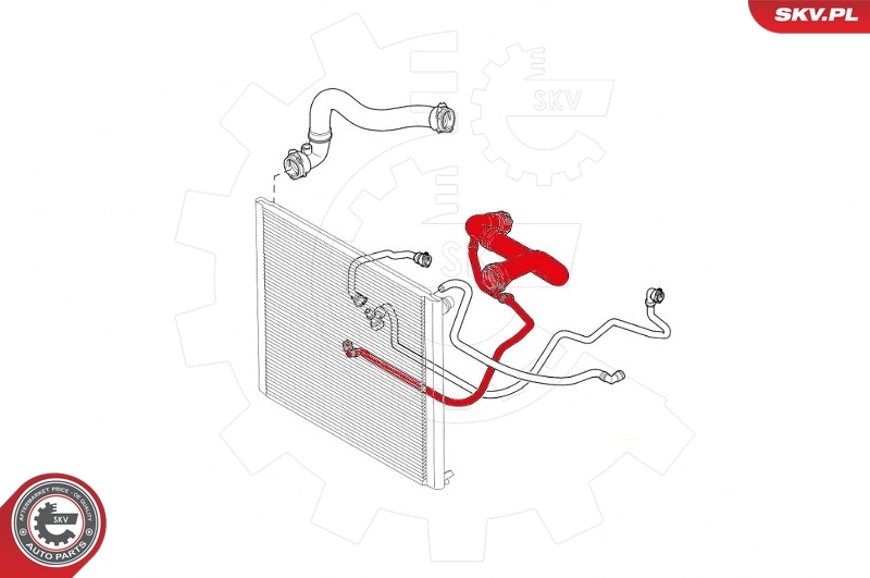 Radiator Hose 43SKV725