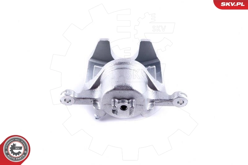 Brake Caliper 46SKV902