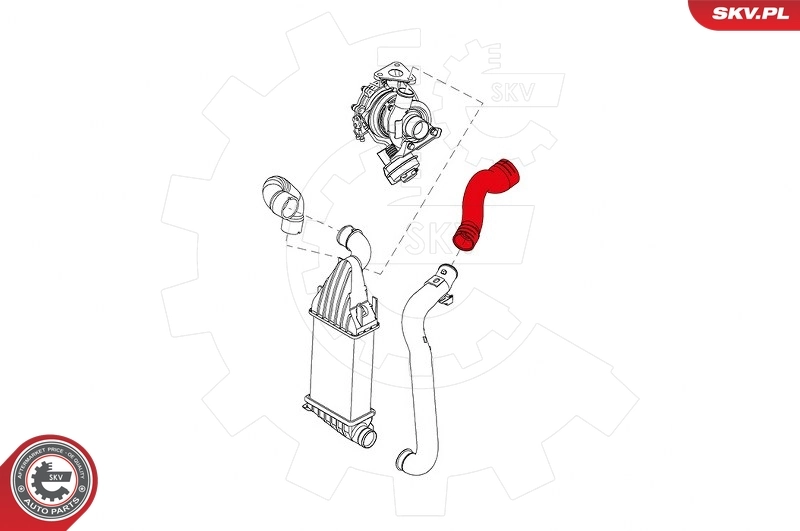 Charge Air Hose 24SKV681