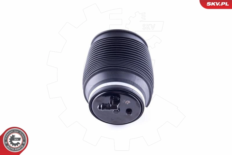 Air Spring, suspension 58SKV010