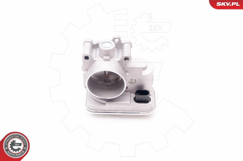 Throttle Body 12SKV066