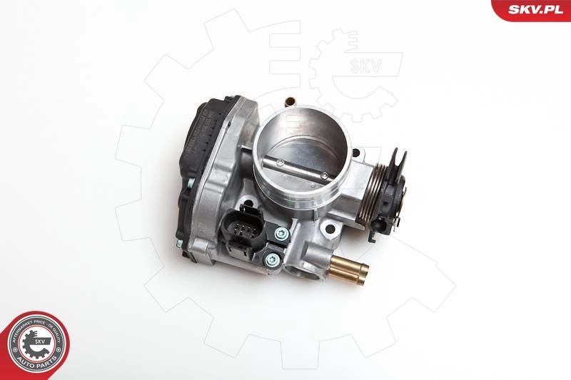 Throttle Body 12SKV010