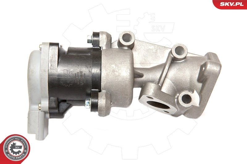 EGR Valve 14SKV073
