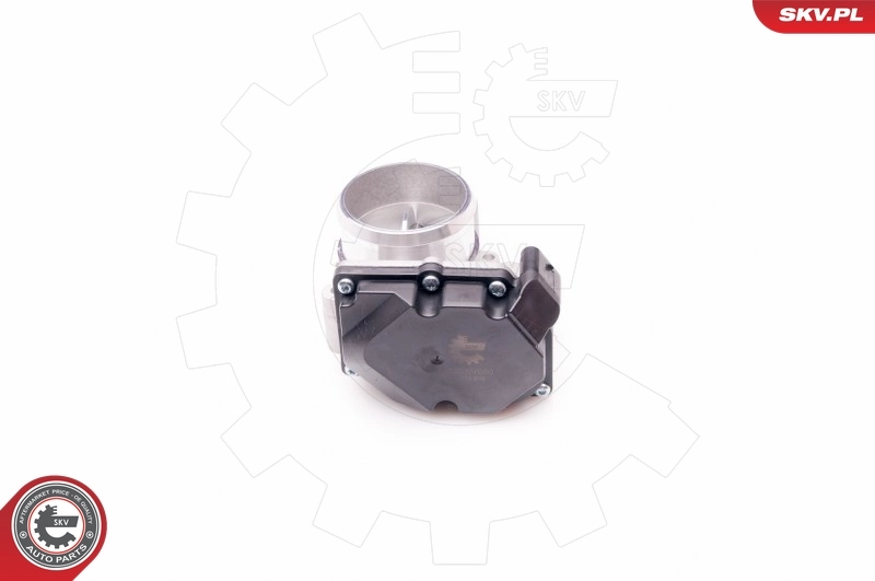 Throttle Body 12SKV060