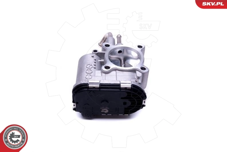 Throttle Body 12SKV085
