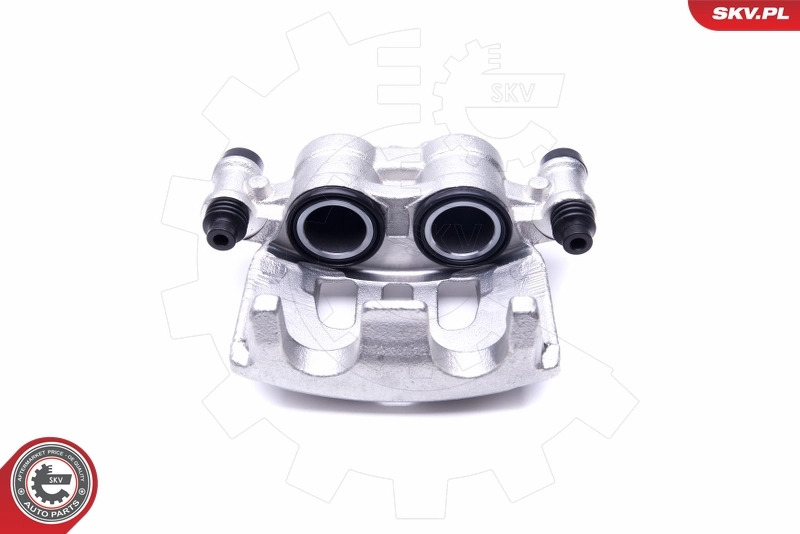 Brake Caliper 50SKV121