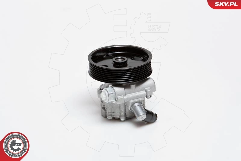 Hydraulic Pump, steering 10SKV024