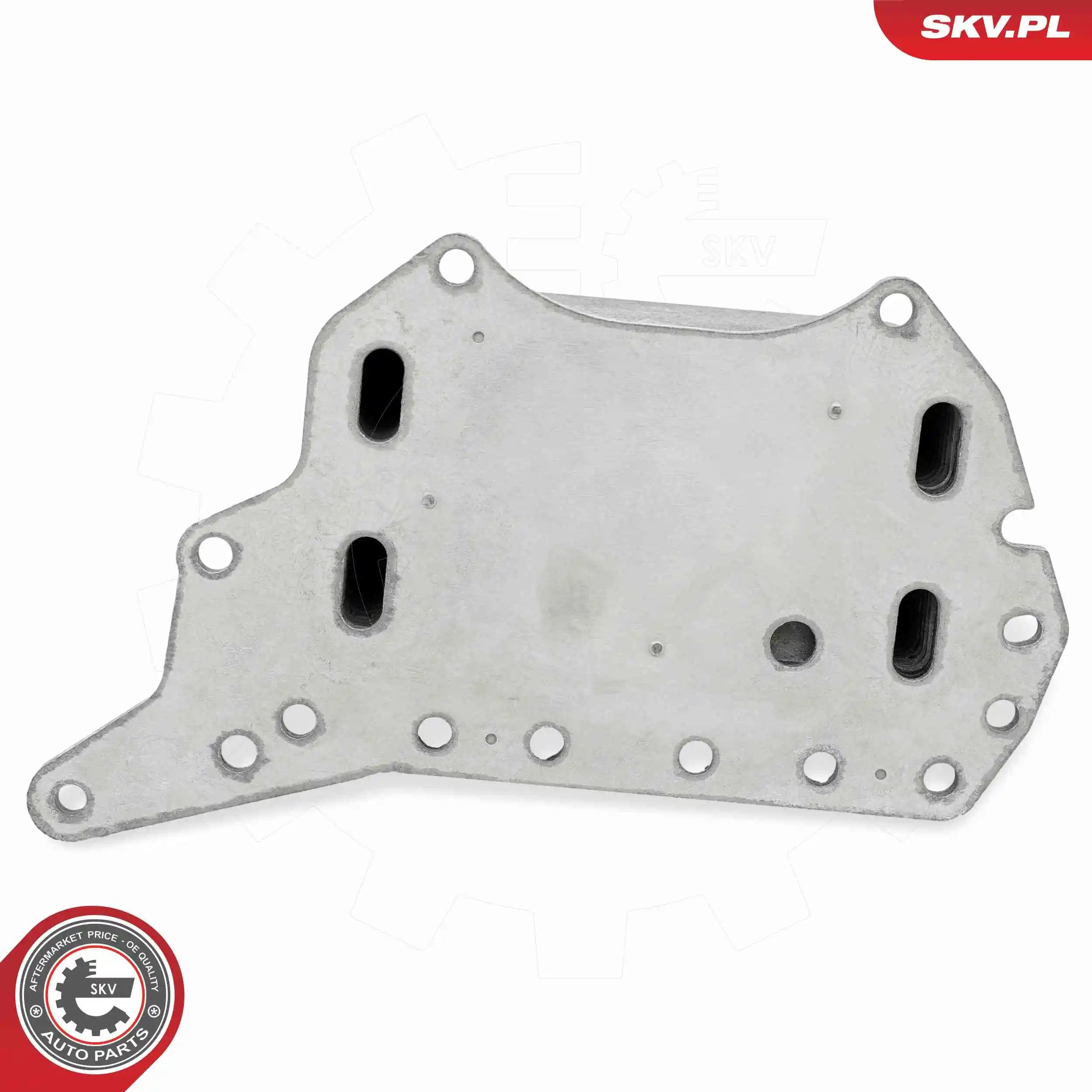 Oil Cooler, engine oil 31SKV345