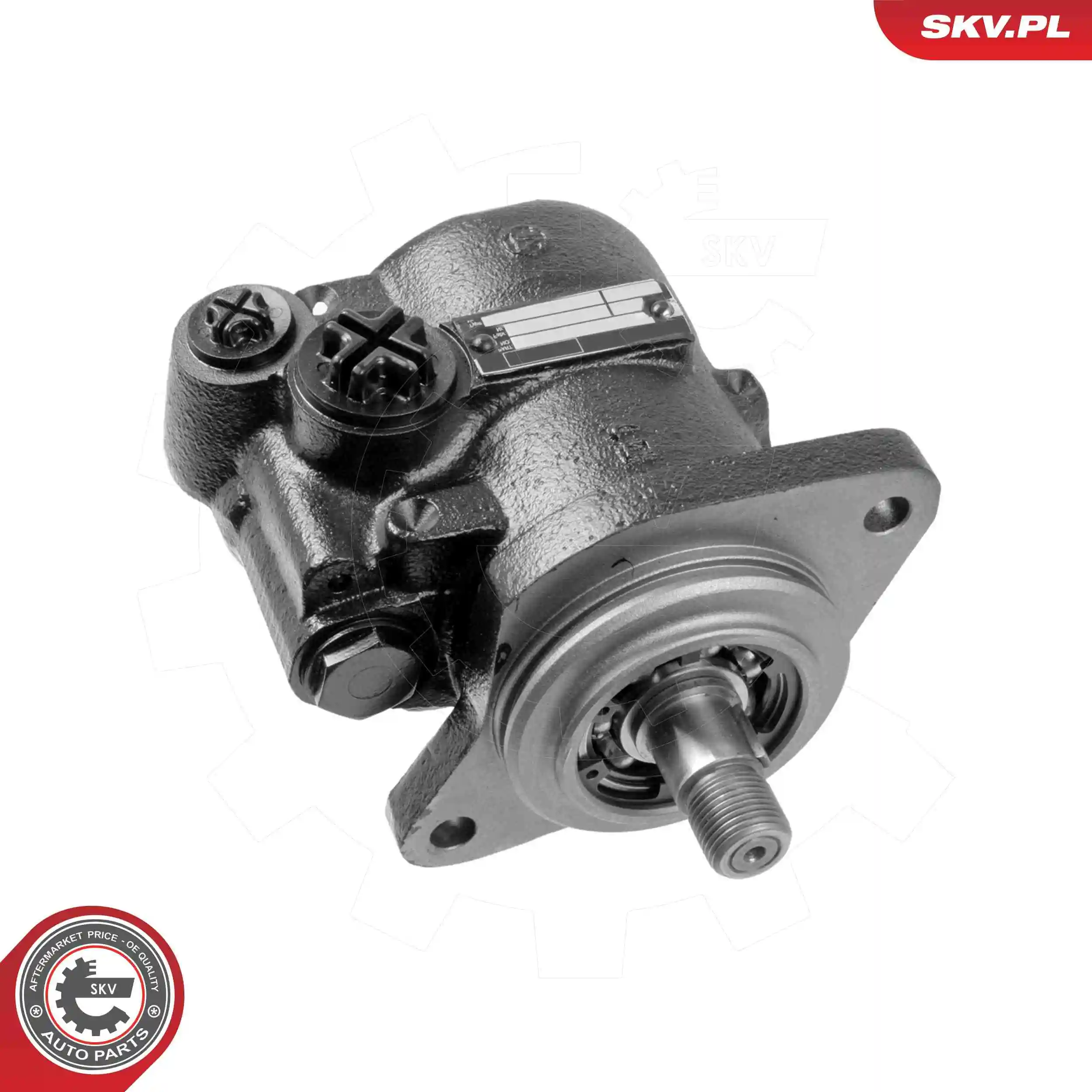 Hydraulic Pump, steering 10SKV316