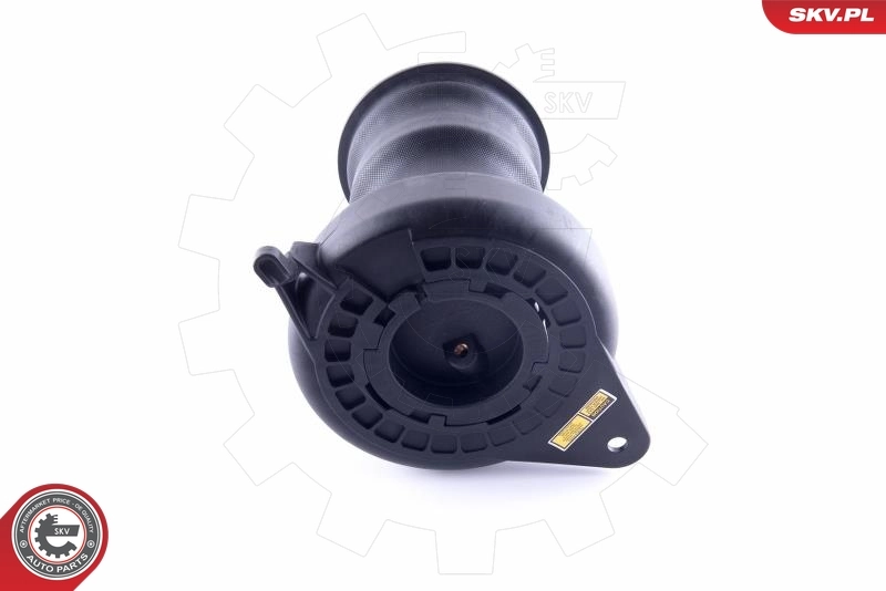Air Spring, suspension 58SKV015
