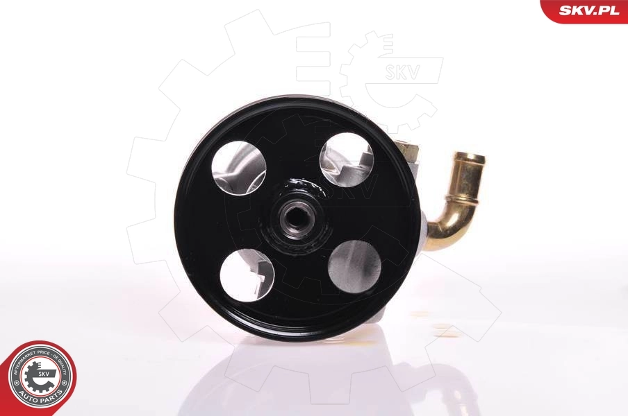 Hydraulic Pump, steering 10SKV013