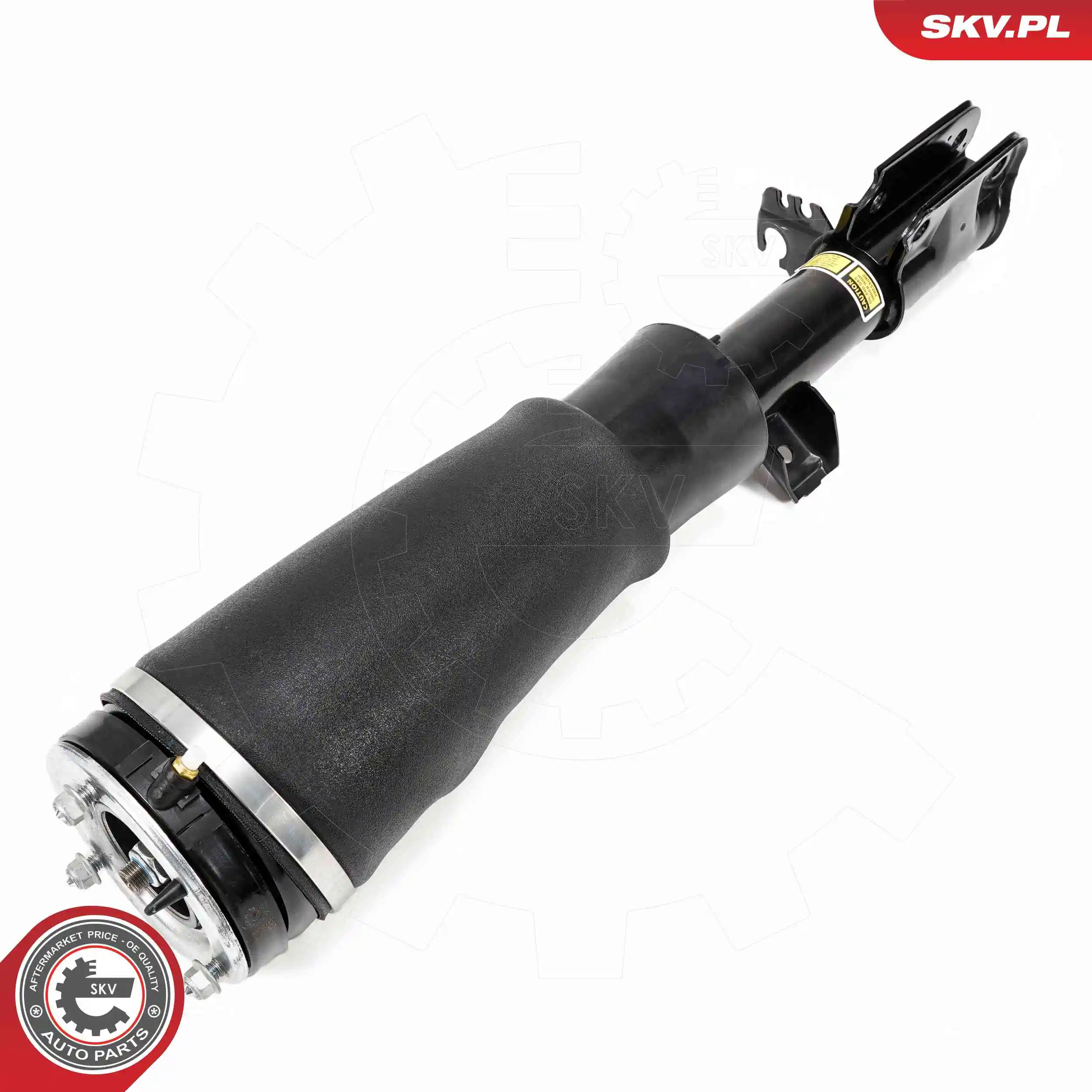 Air Suspension Strut 58SKV709