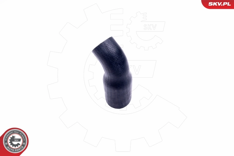 Charge Air Hose 43SKV170