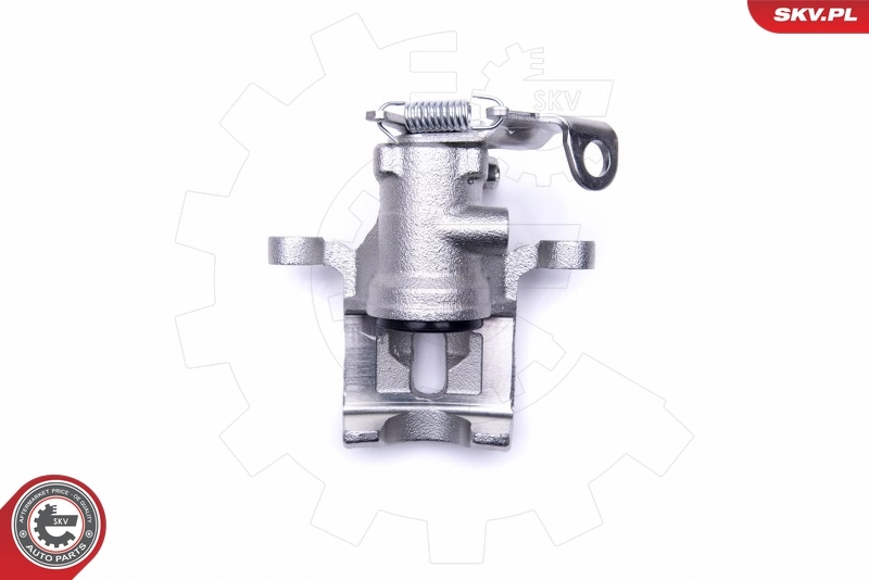 Brake Caliper 46SKV843