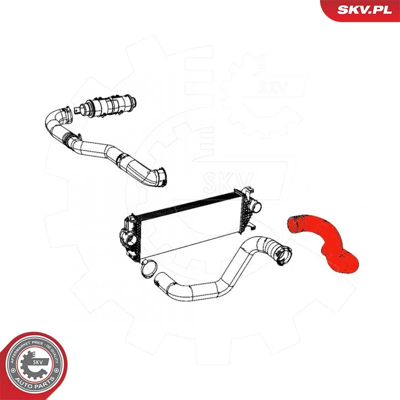 ESEN SKV 54SKV098 Charge Air Hose