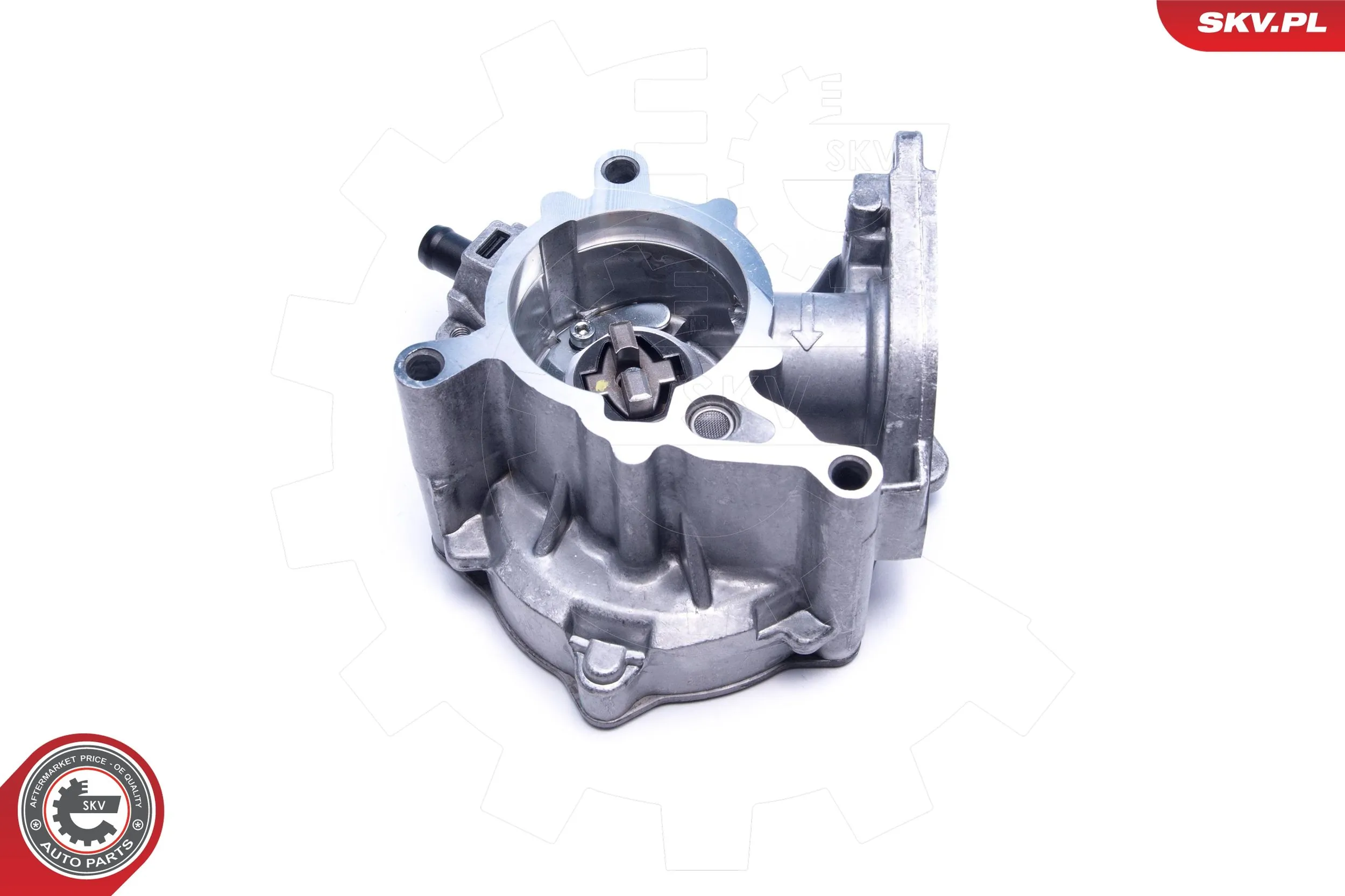 Vacuum Pump, braking system 18SKV060