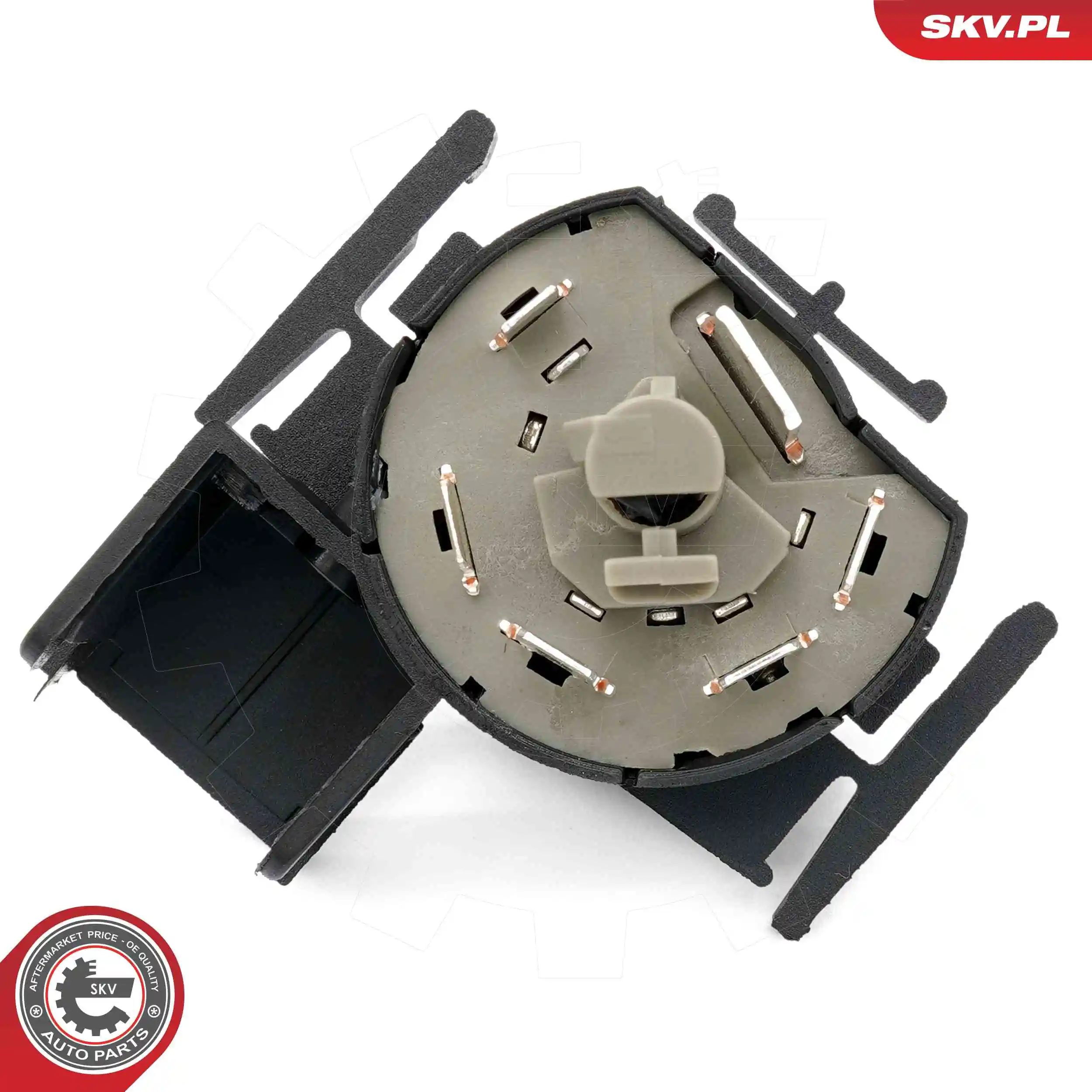 Ignition Switch 65SKV031