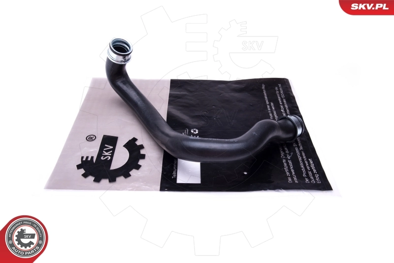 Radiator Hose 43SKV649