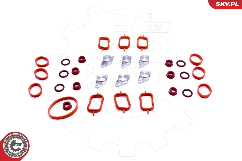 ESEN SKV 49SKV568 Repair Kit, intake manifold module