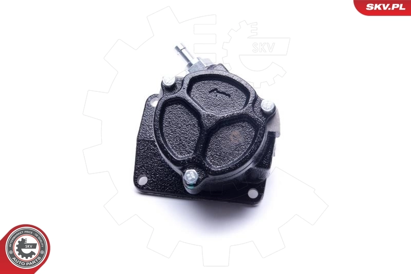 Vacuum Pump, braking system 18SKV050