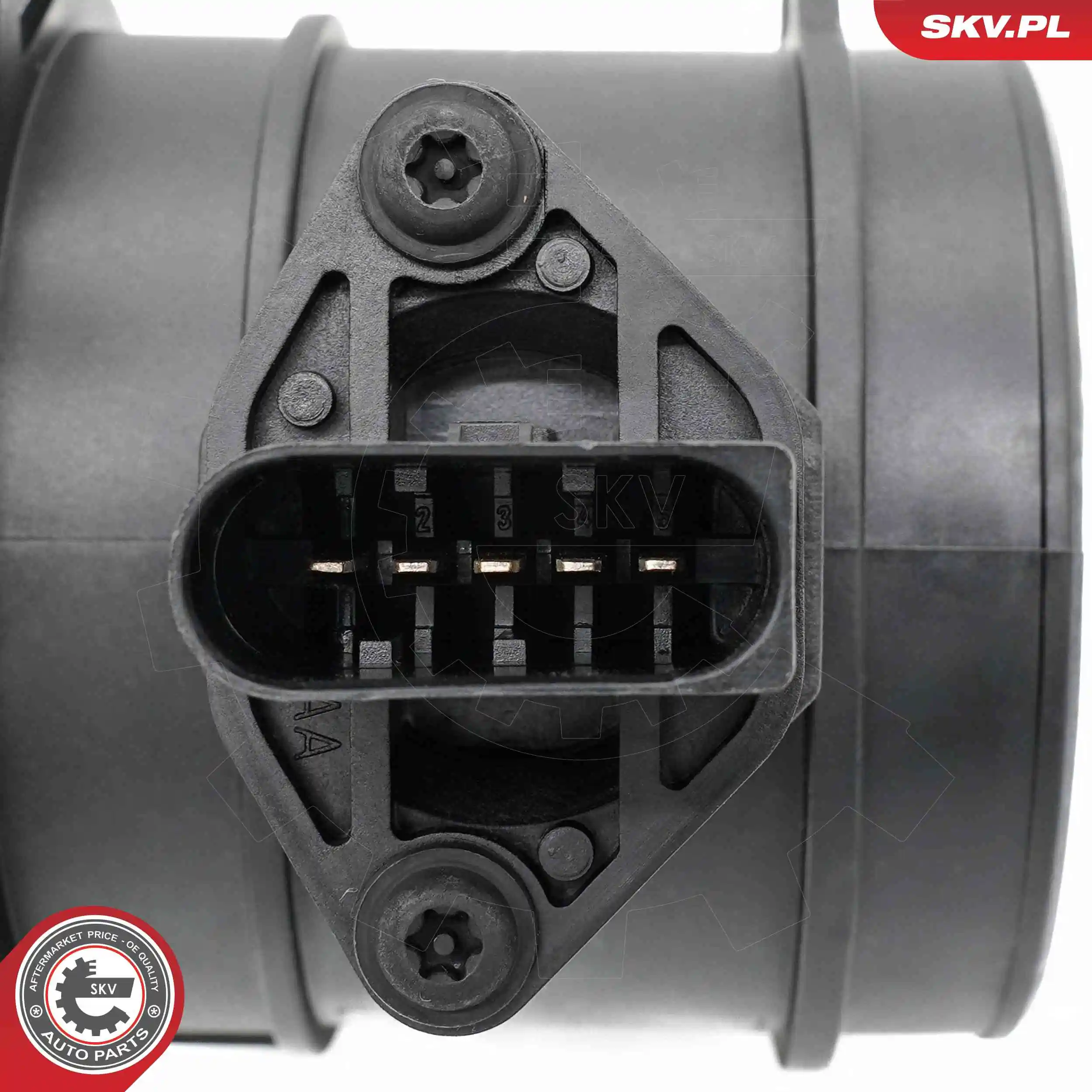 Mass Air Flow Sensor 07SKV301