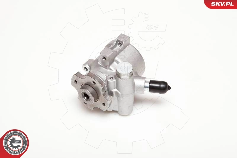 Hydraulic Pump, steering 10SKV178